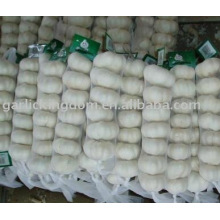 sell pure white garlic